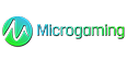 Micro Gaming Slot